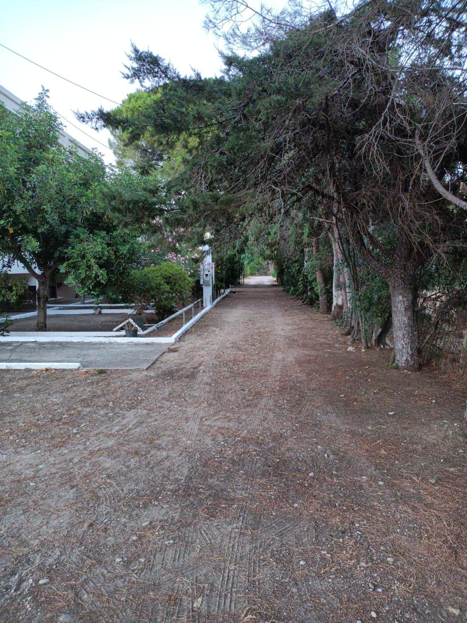 Luxurious Apartment Katakolo Beach 外观 照片